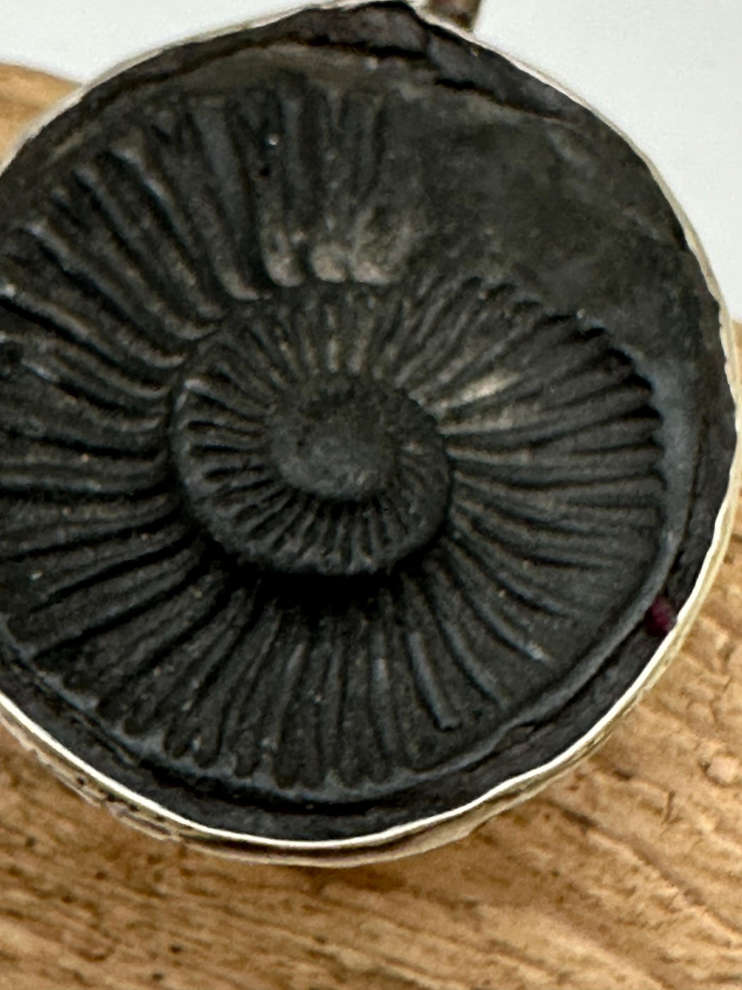 Shaligram, sacred stone , spiritual pendant,