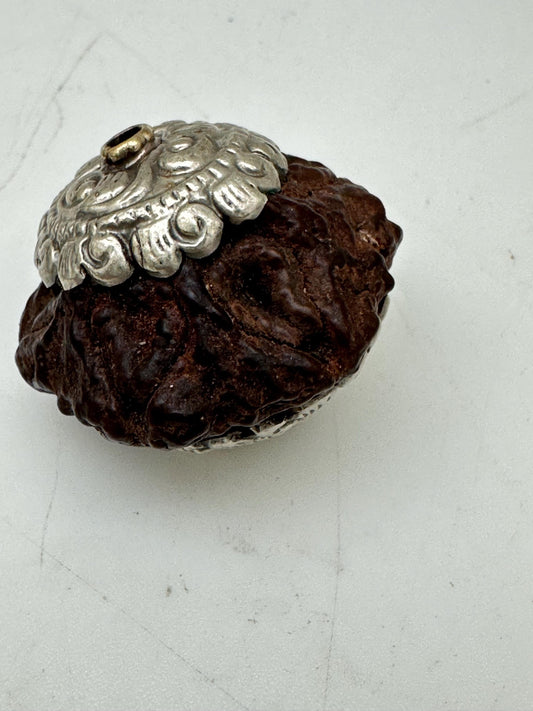 rudraksha bead, spiritual jewelry, healing mala,double capped Tibetan silver,