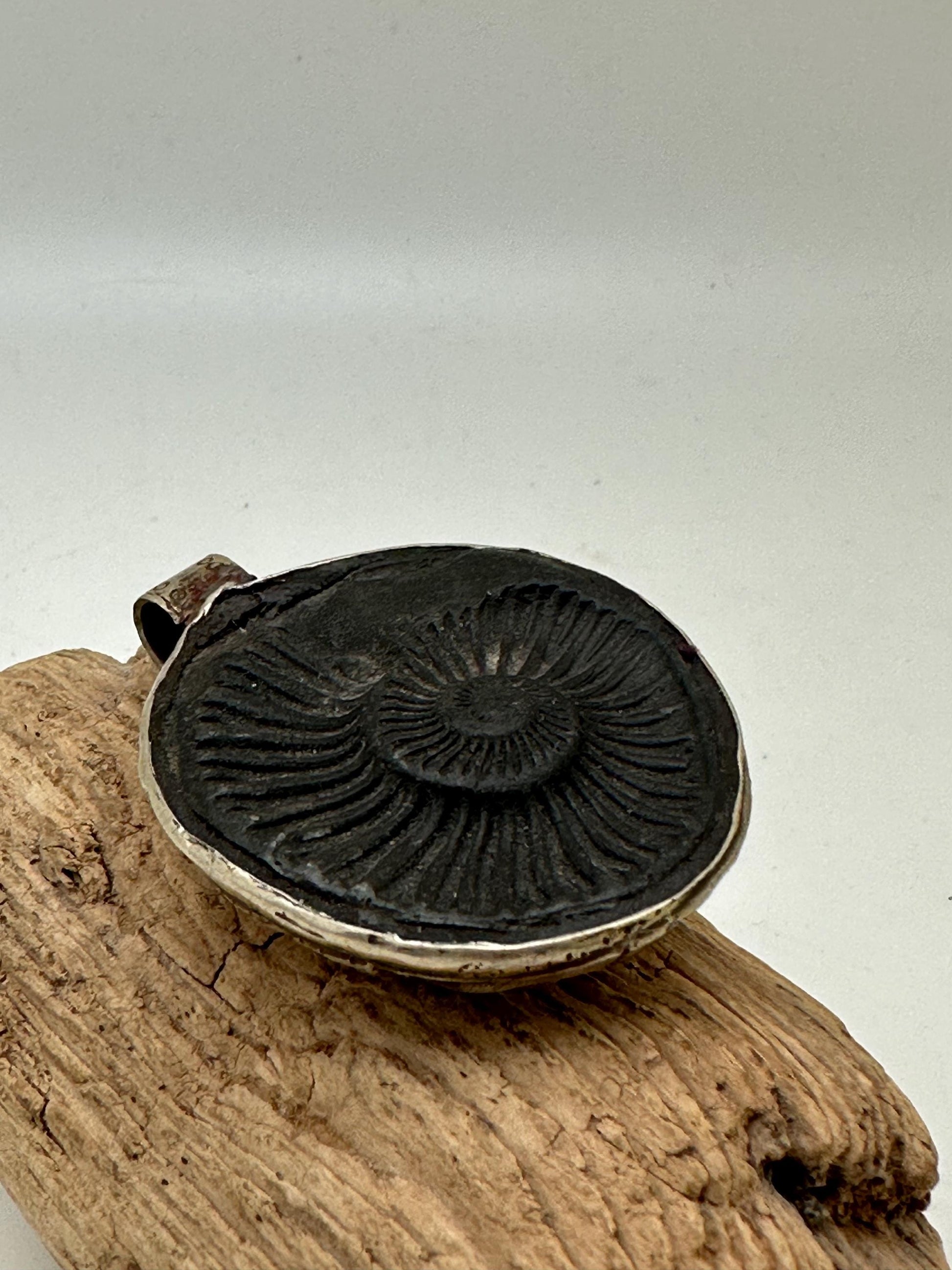 Shaligram, sacred stone , spiritual pendant,