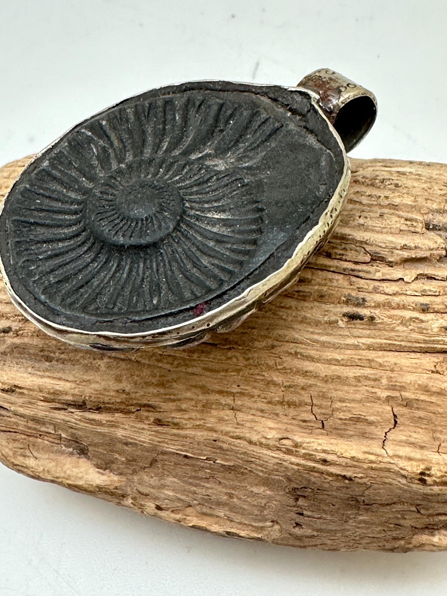 Shaligram, sacred stone , spiritual pendant,