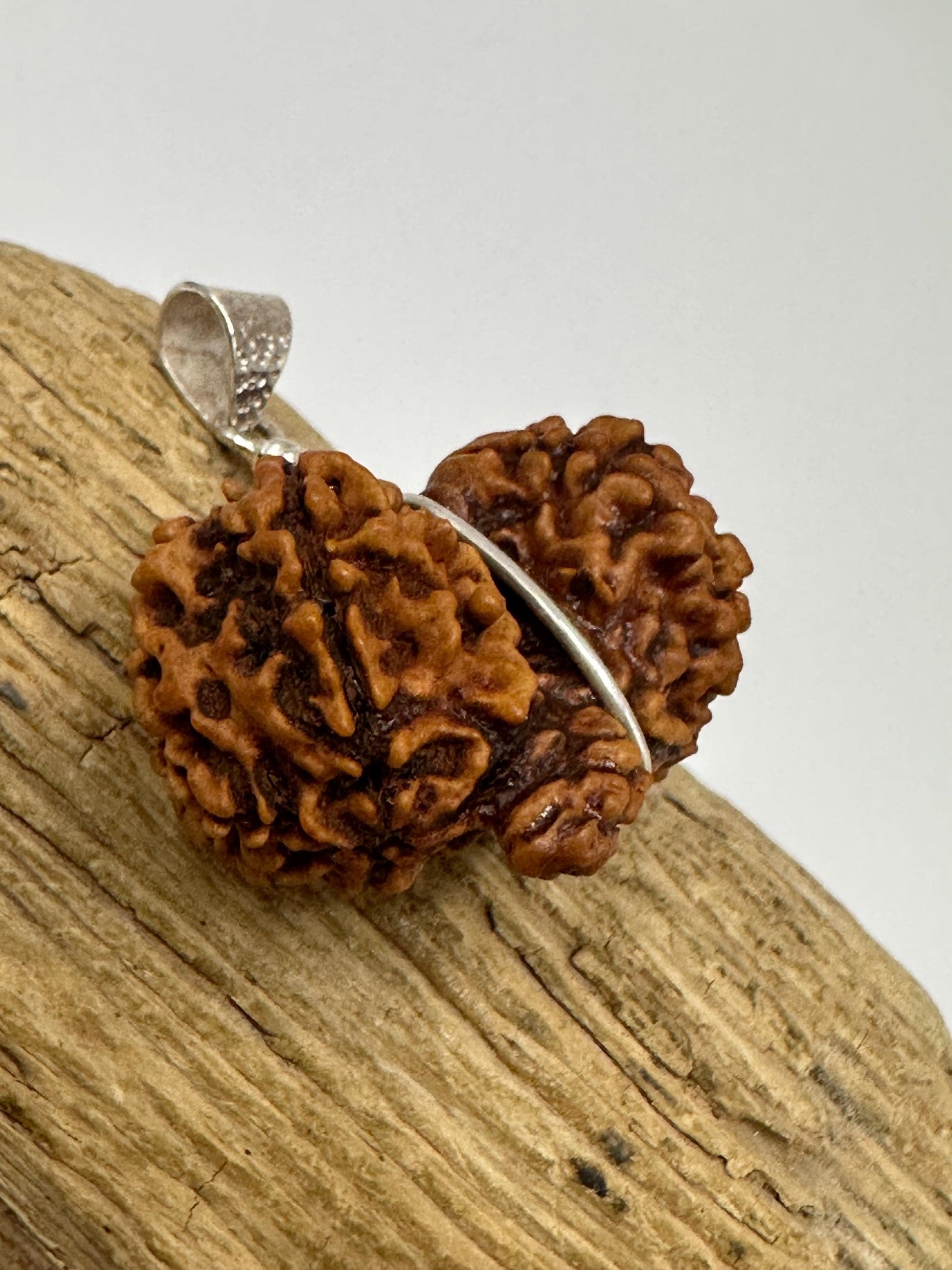 Rudraksha,Gauri Shankar, natural rudraksha from Nepal set with sterling silver,natural rudraksha