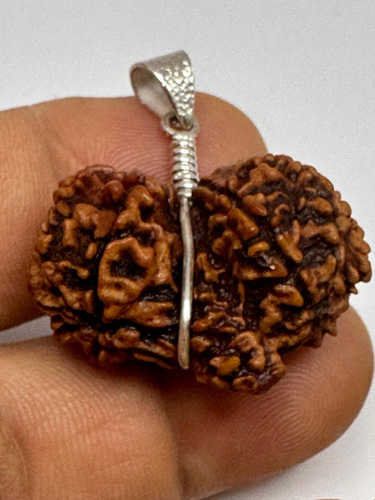 Rudraksha,Gauri Shankar, natural rudraksha from Nepal set with sterling silver,natural rudraksha