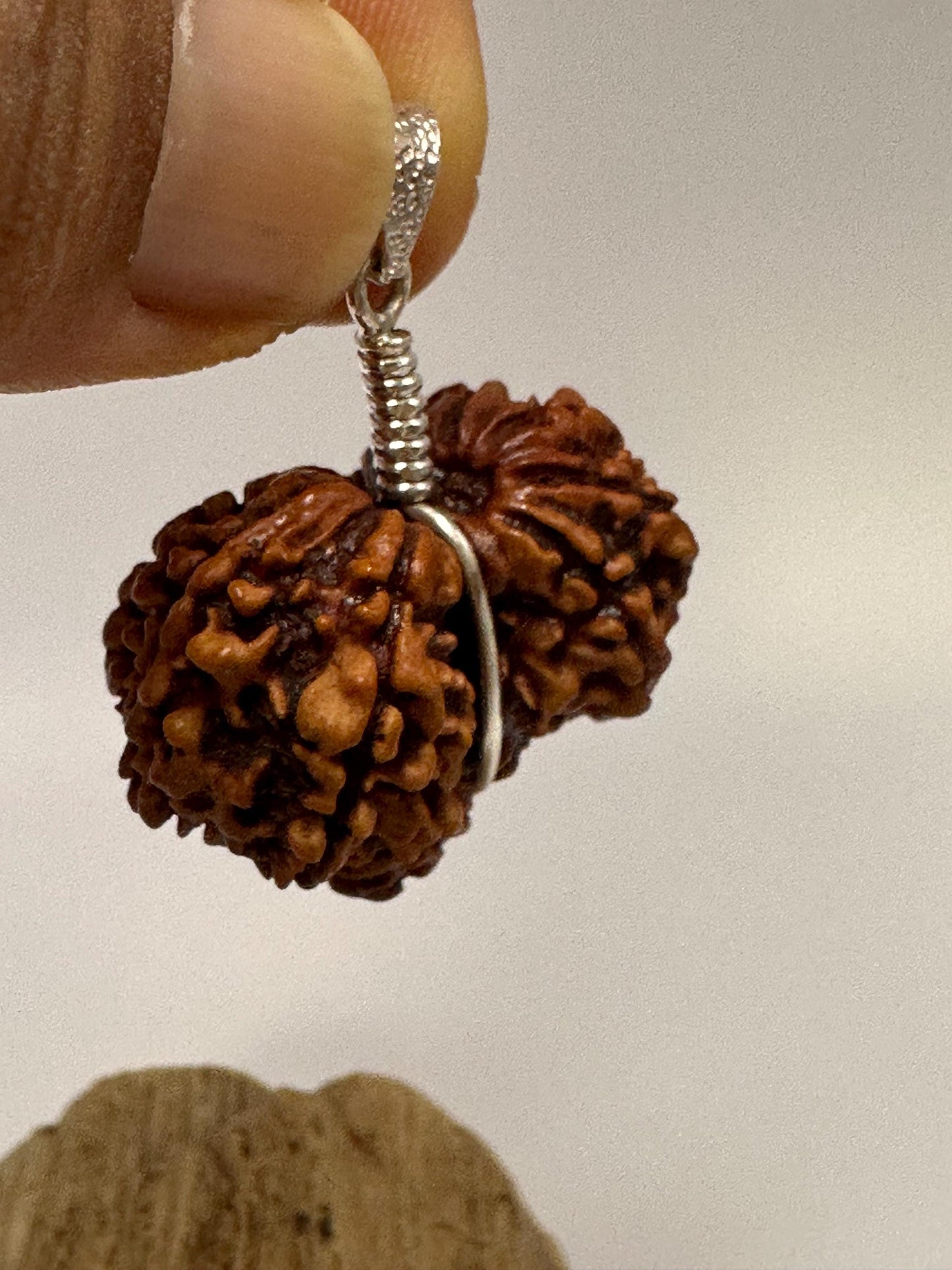 Rudraksha,Gauri Shankar, natural rudraksha from Nepal set with sterling silver,natural rudraksha