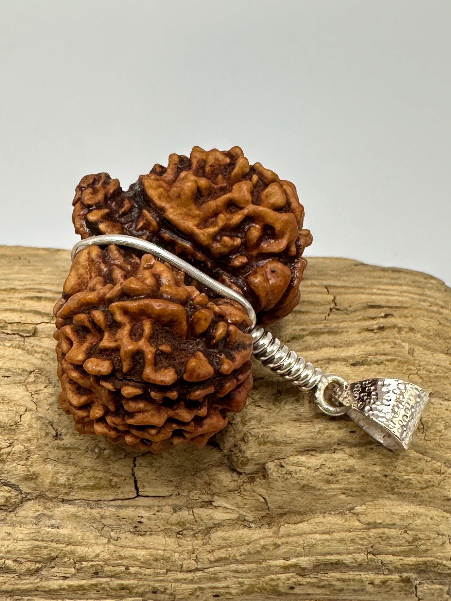 Rudraksha,Gauri Shankar, natural rudraksha from Nepal set with sterling silver,natural rudraksha