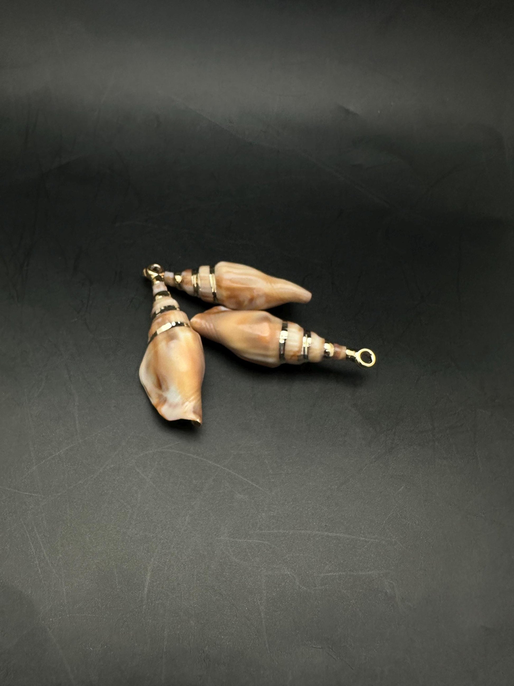 Sea shell pendant, natural shell with gold plate
