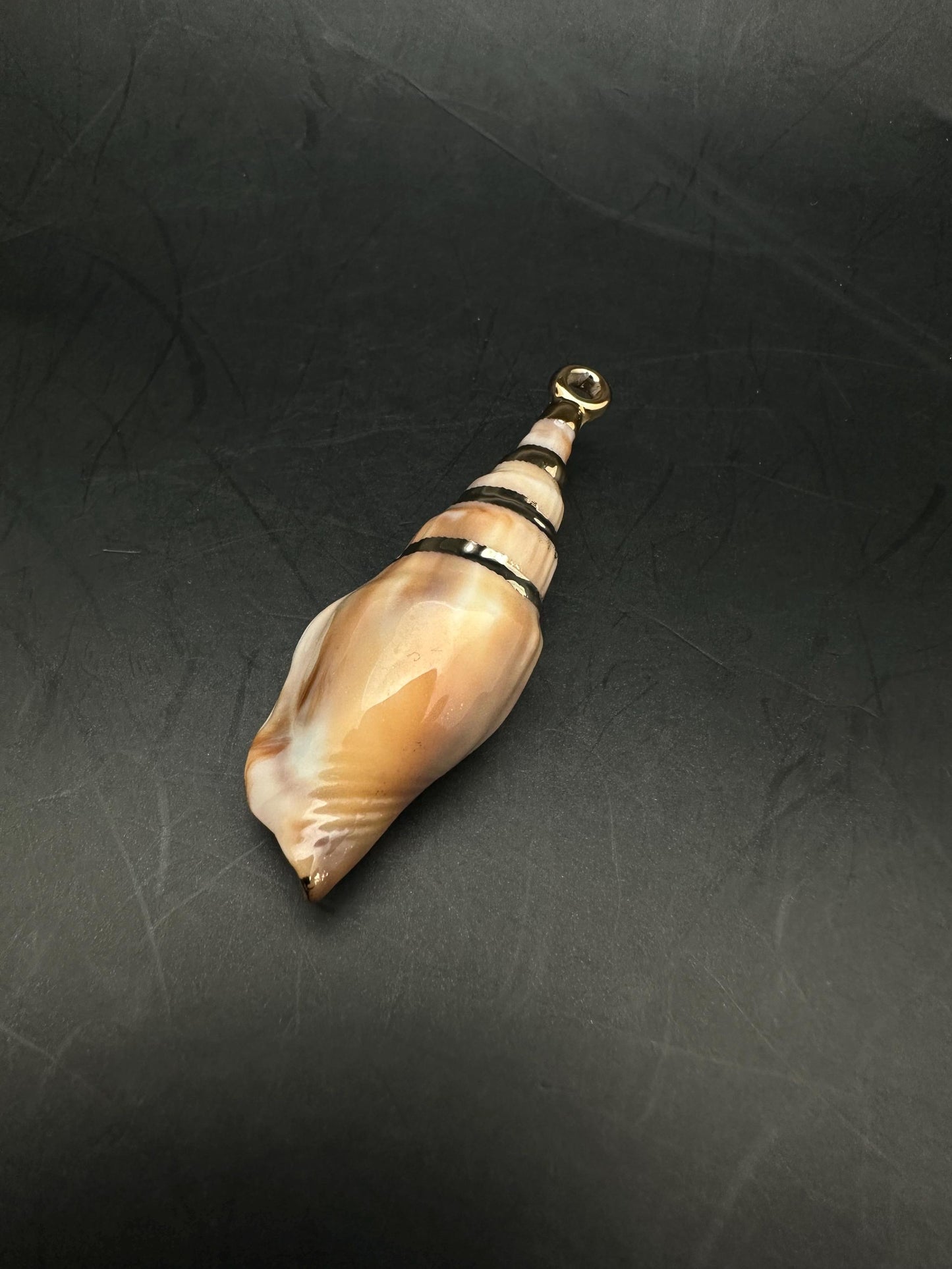 Sea shell pendant, natural shell with gold plate