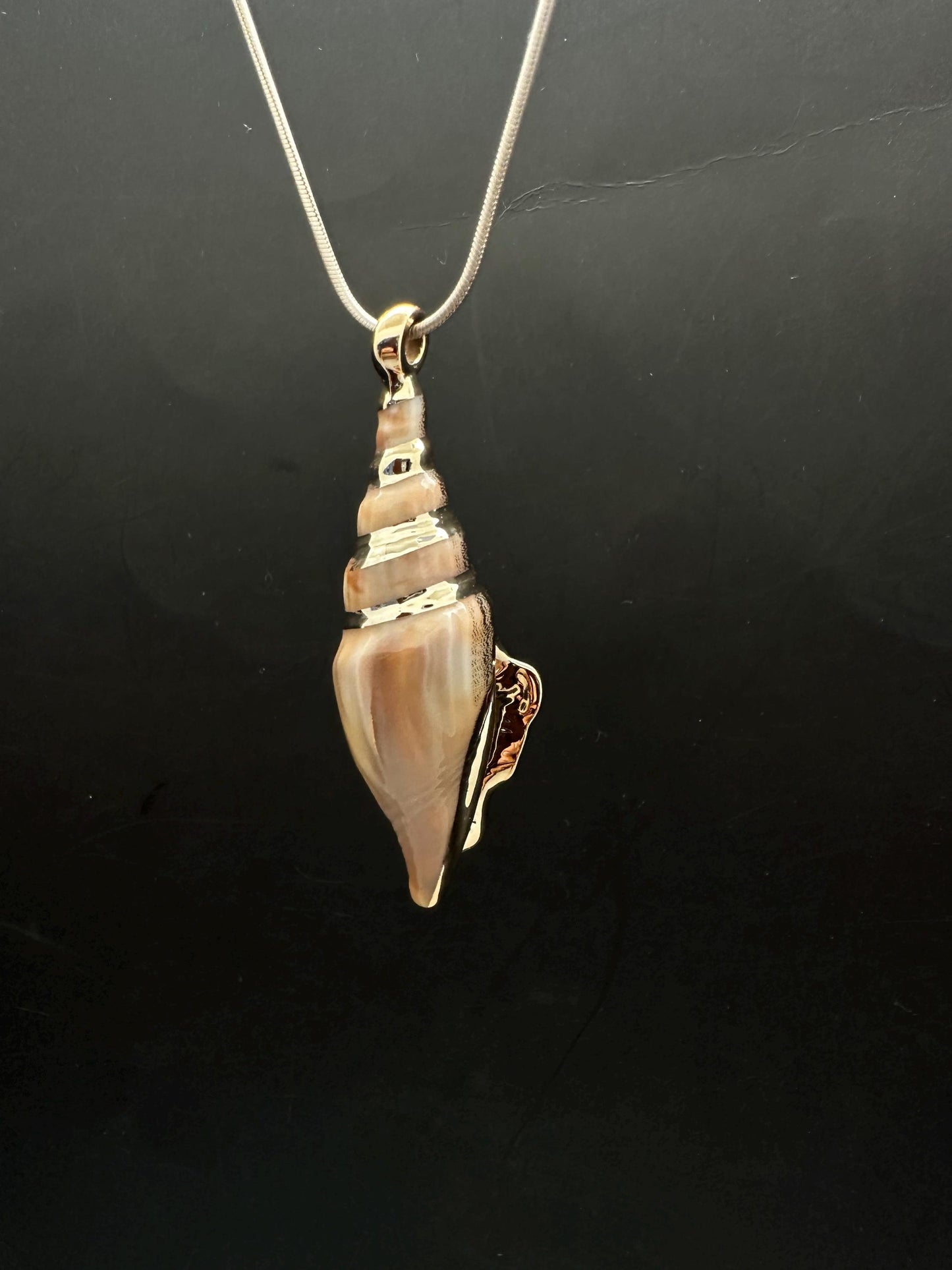 Sea shell pendant, natural shell with gold plate