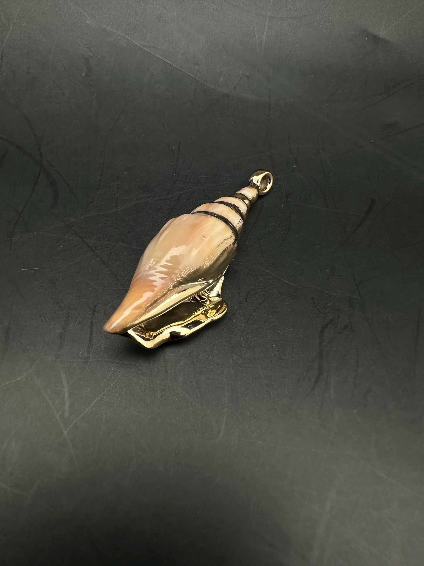 Sea shell pendant, natural shell with gold plate
