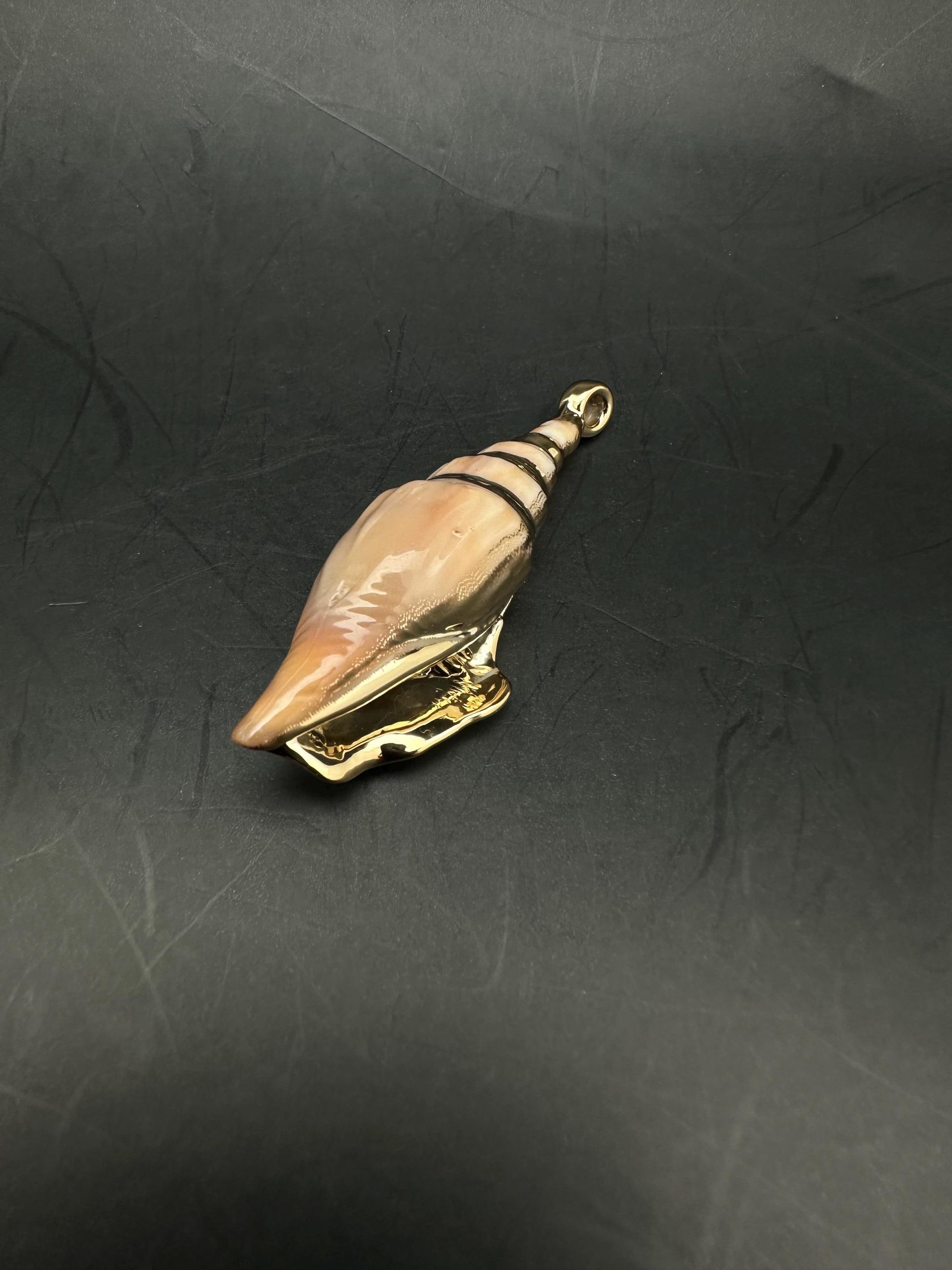 Sea shell pendant, natural shell with gold plate