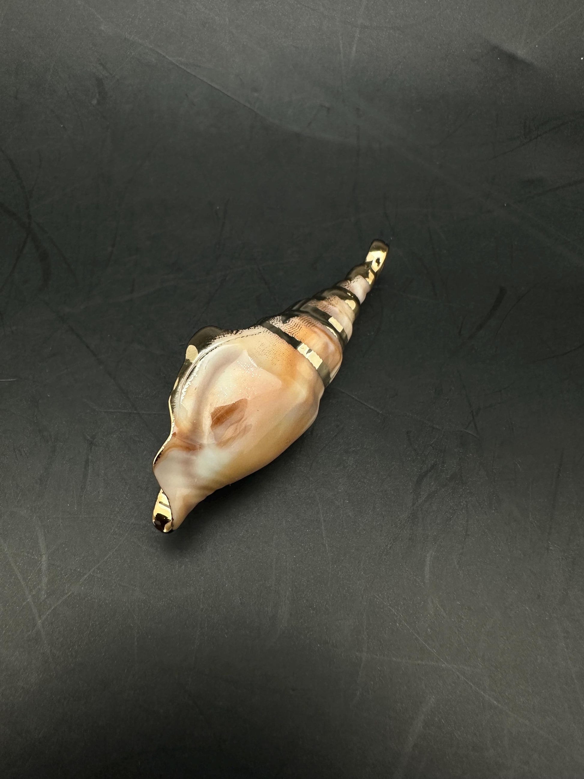 Sea shell pendant, natural shell with gold plate