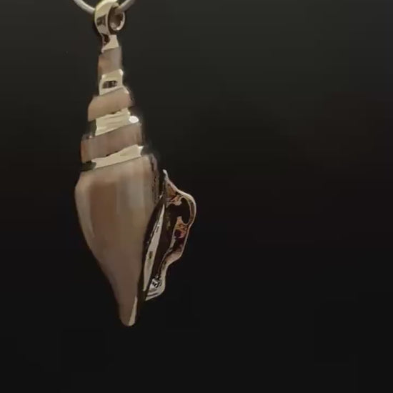 Sea shell pendant, natural shell with gold plate