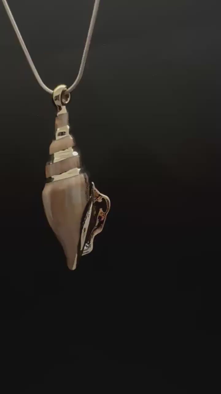Sea shell pendant, natural shell with gold plate